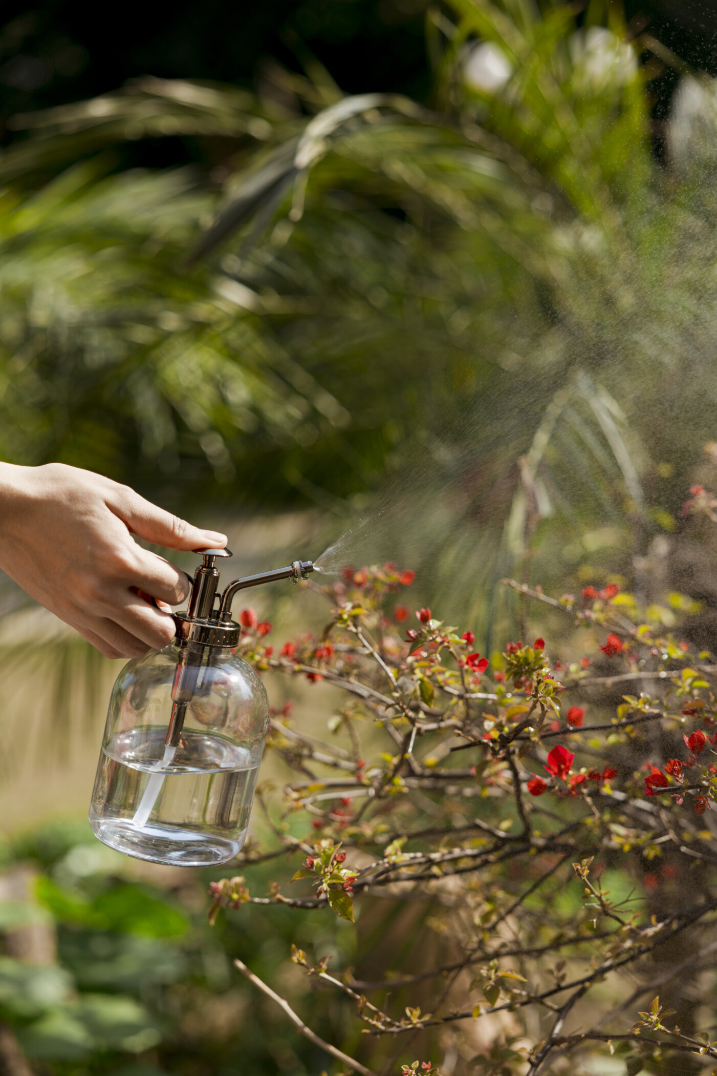 Misty Plant Spray Glass Metal Bottle - Image 2
