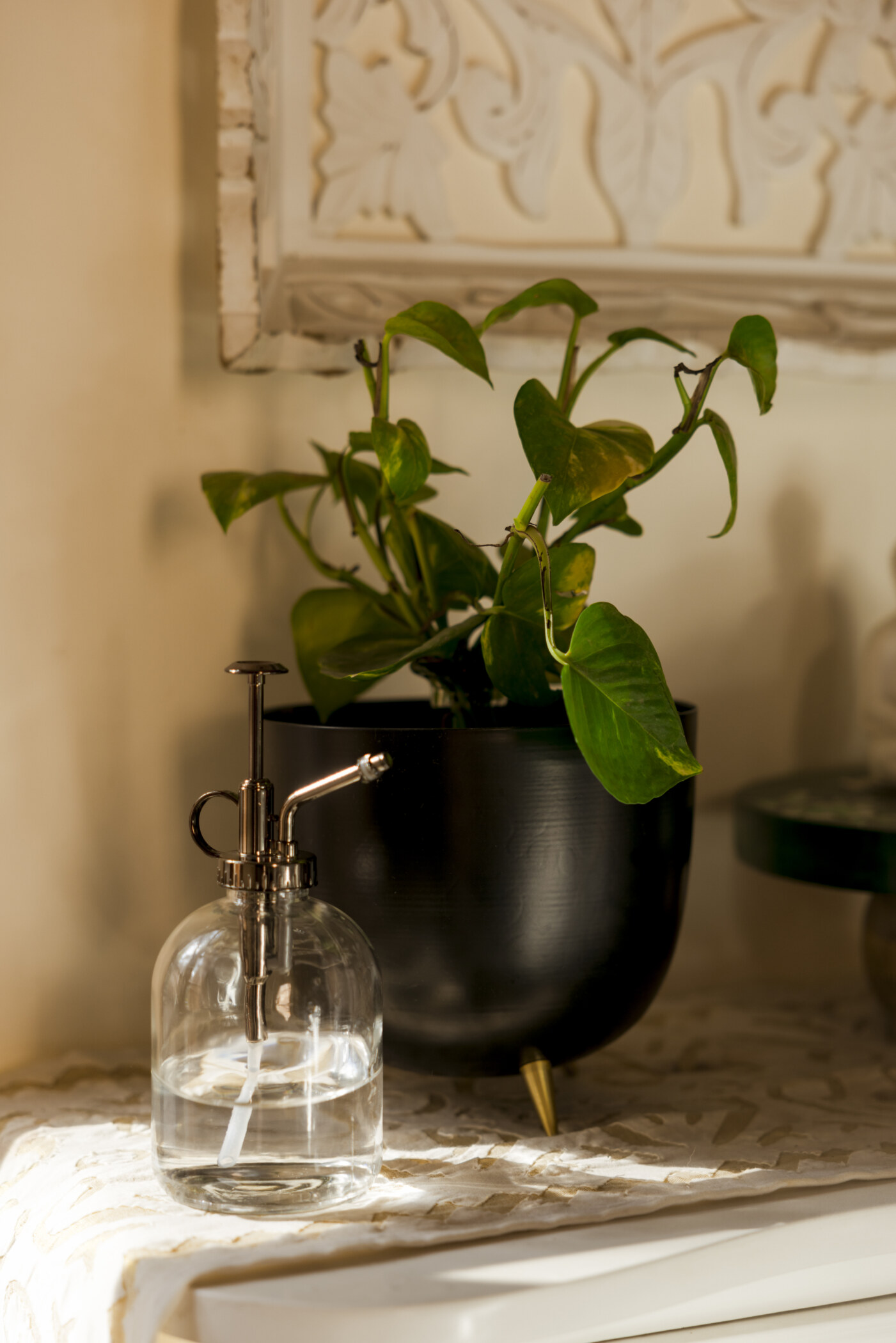 Misty Plant Spray Glass Metal Bottle - Image 3