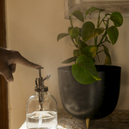 Misty Plant Spray Glass Metal Bottle