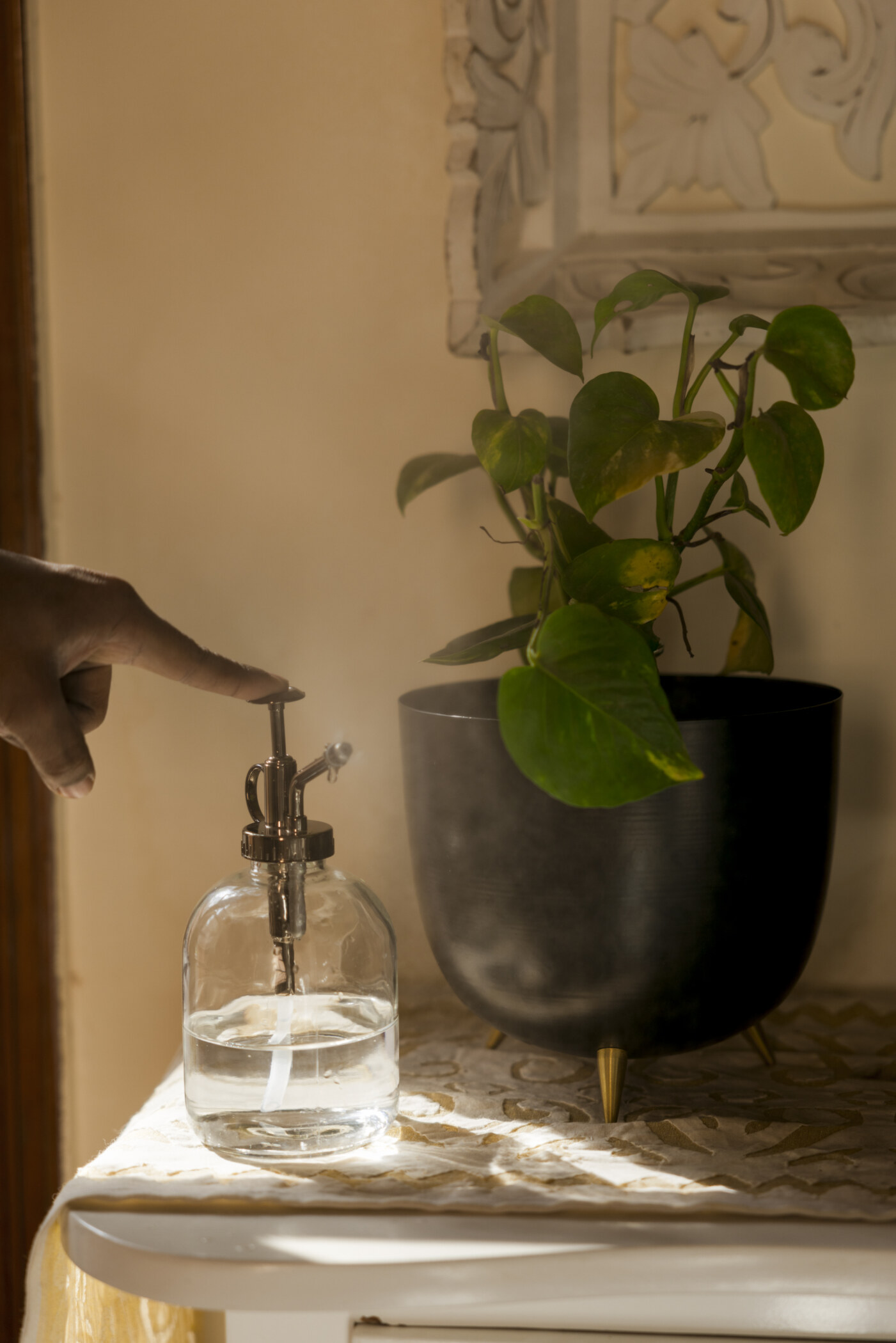 Misty Plant Spray Glass Metal Bottle