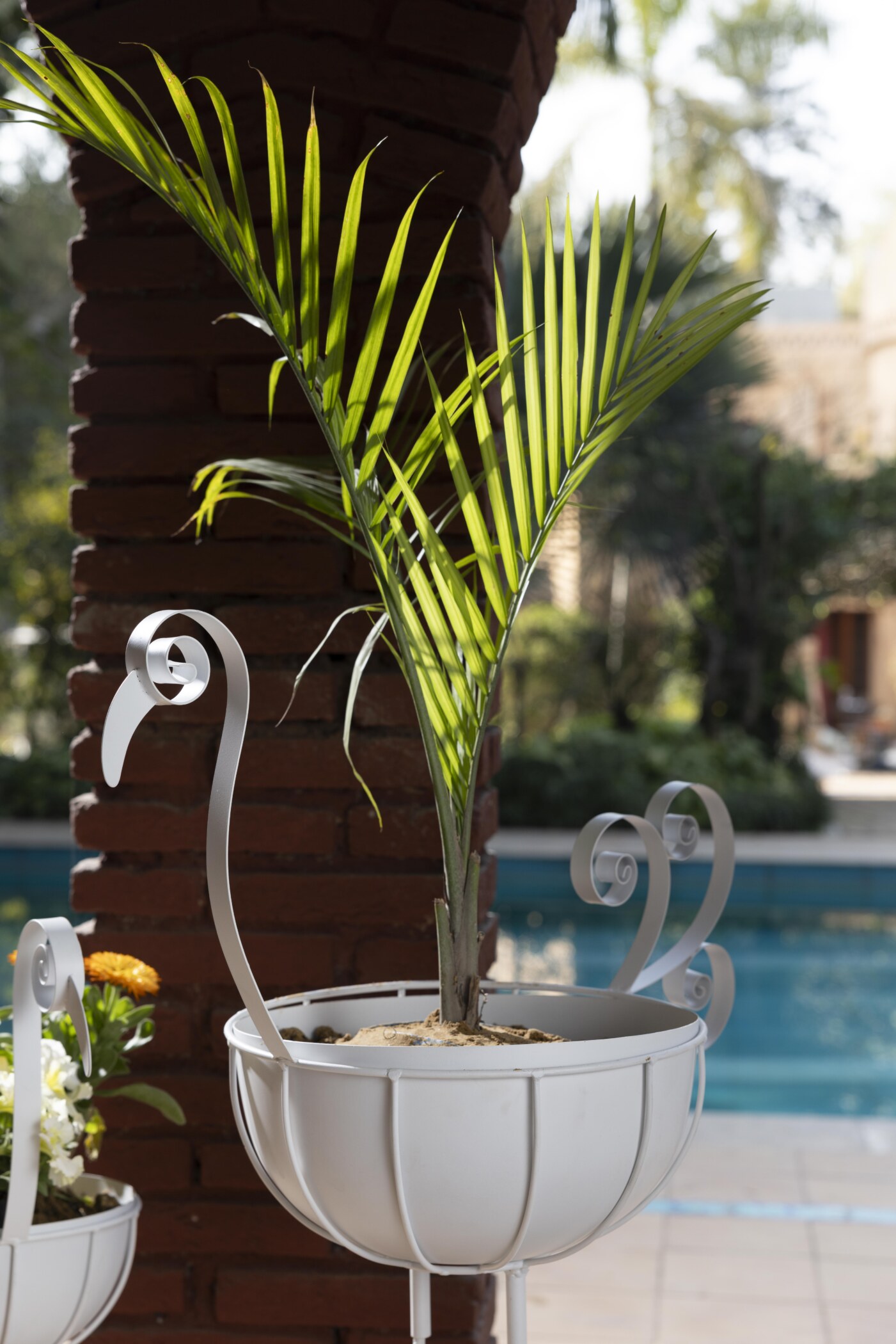 Flamingo Metal Plant Stand Set of 2 - Image 15