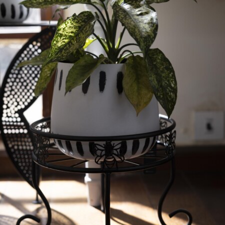 Bumblebee Metal Black Plant Stand