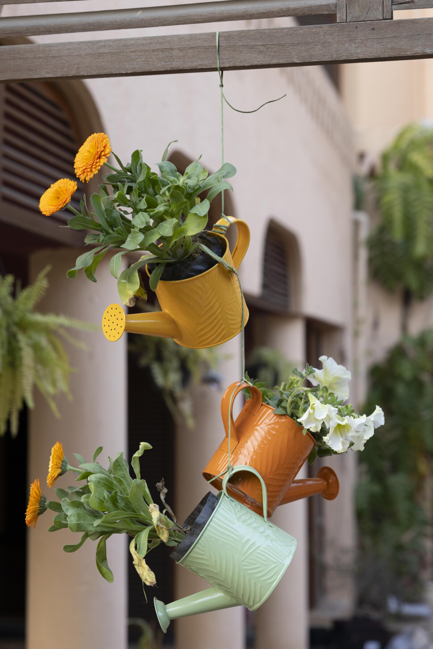 Daisy Mini Metal Watering Can - Image 16