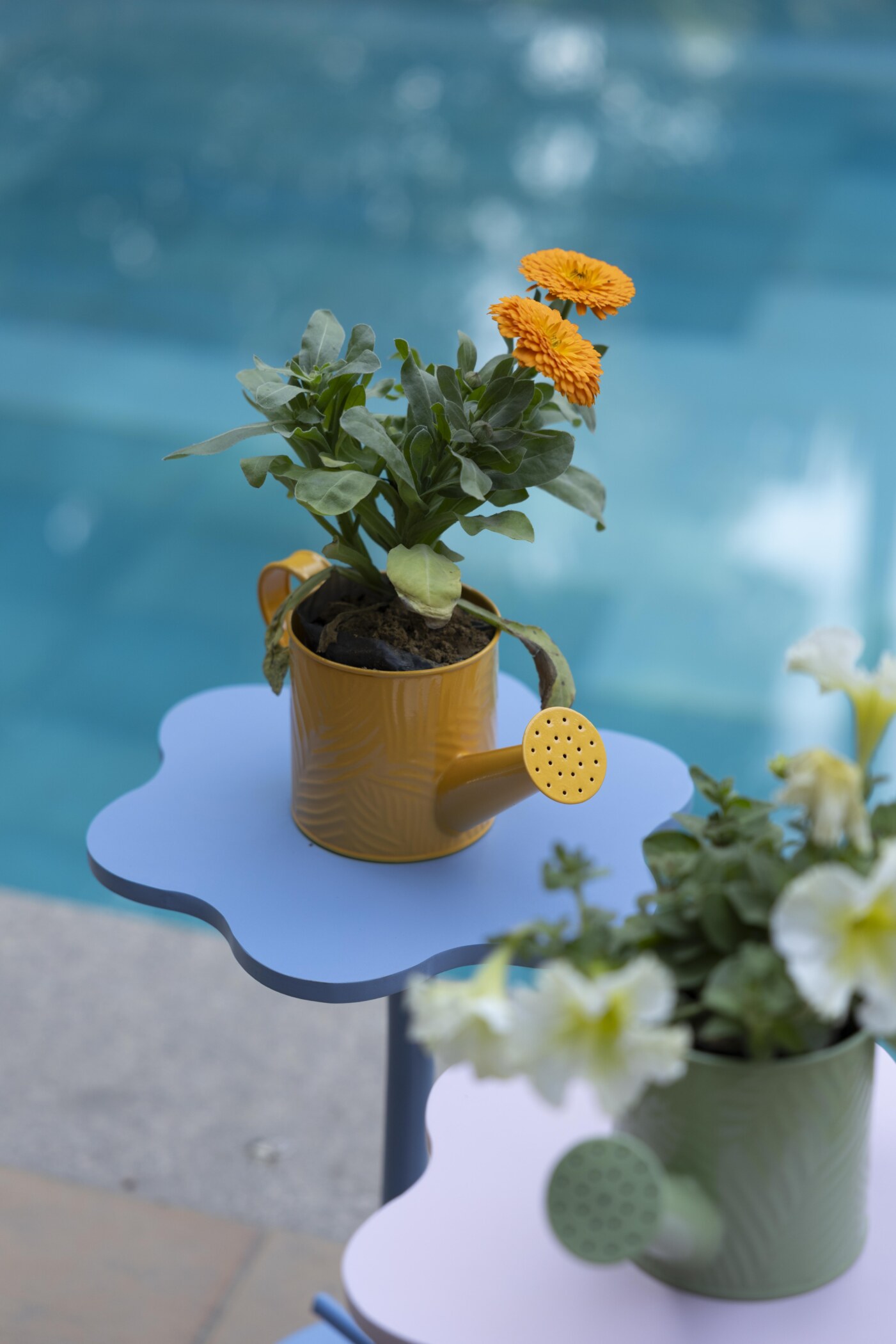 Daisy Mini Metal Watering Can
