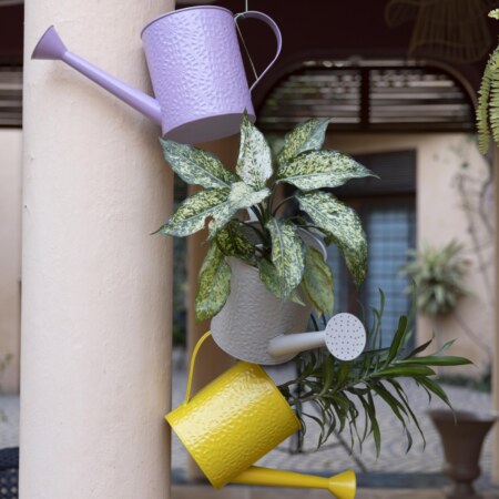 Etch Solid metal Watering Can