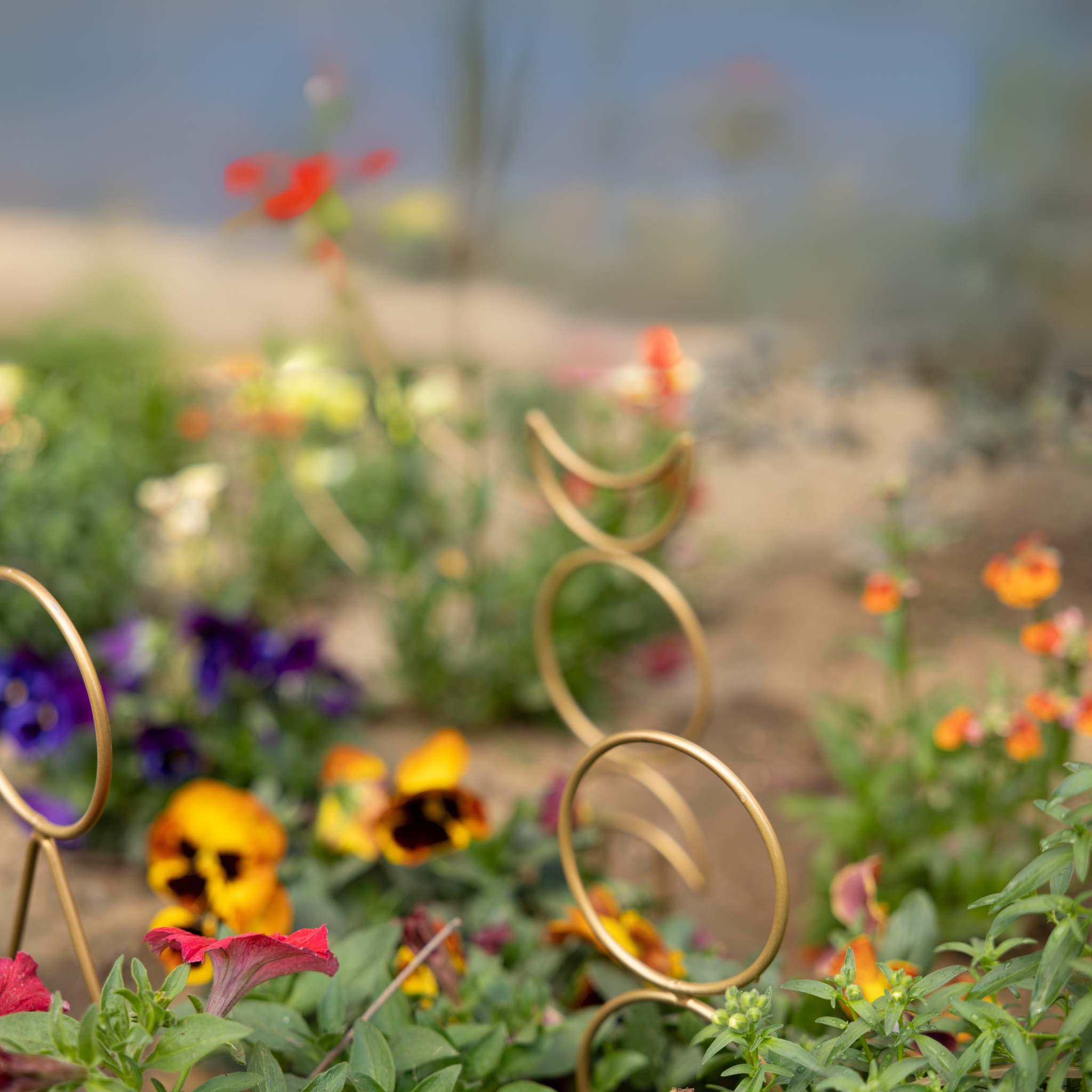 Metal Gold Plant Support - Set of 4 - Image 3