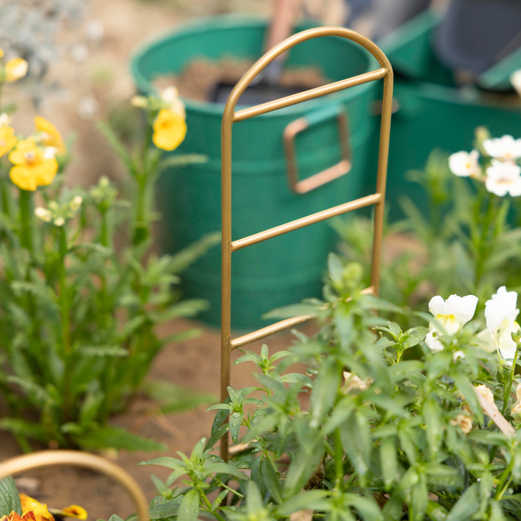 Metal Gold Plant Support - Set of 4 - Image 6