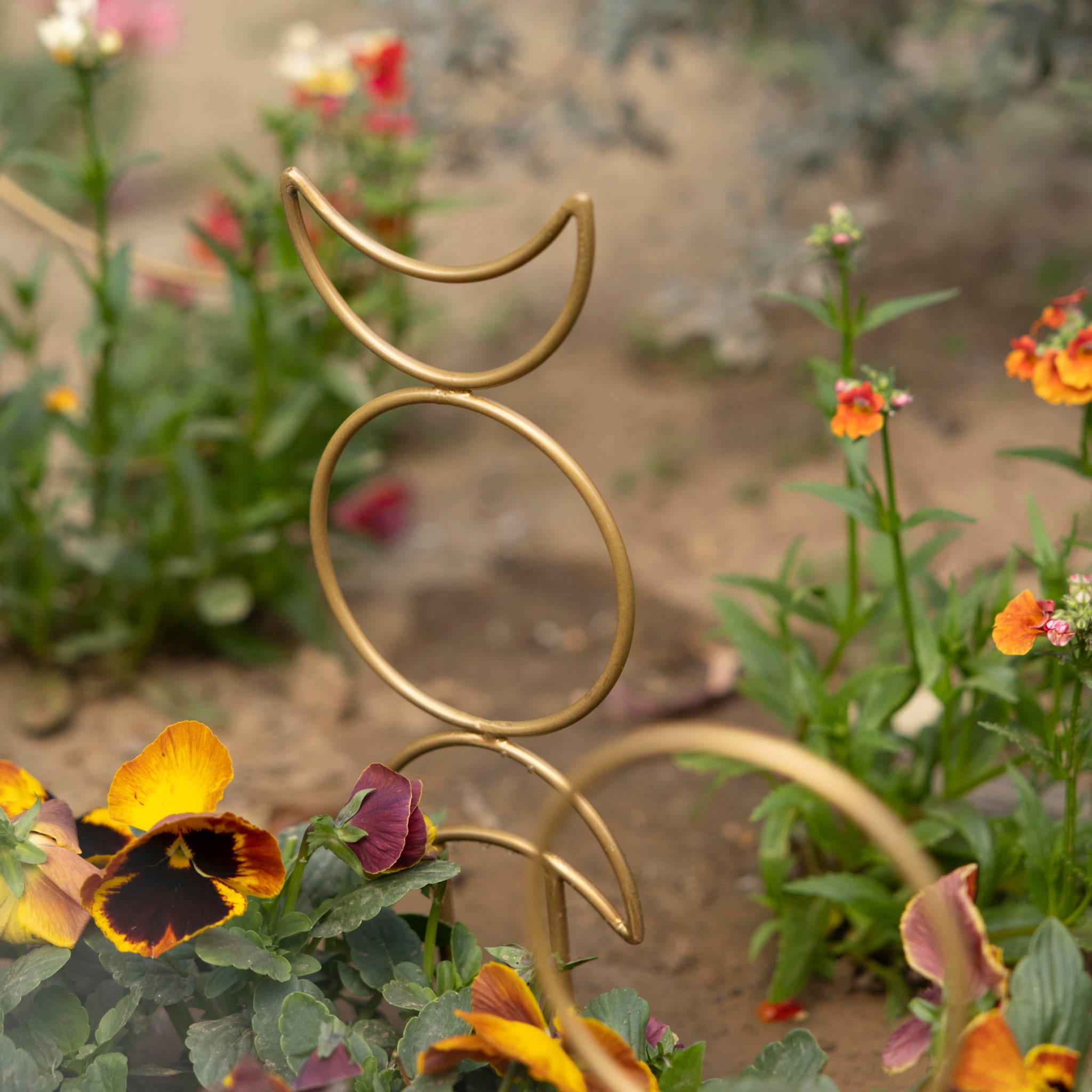 Metal Gold Plant Support - Set of 4 - Image 5