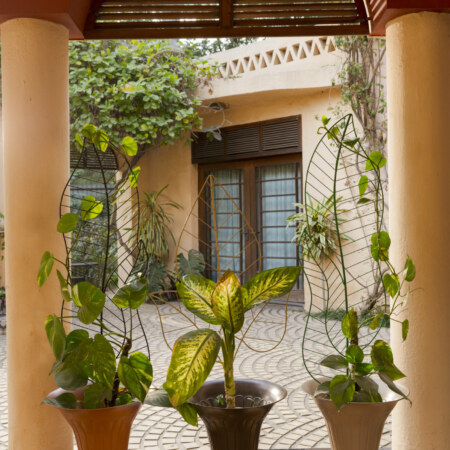 Leaf Metal Plant Supporter - Set of 3